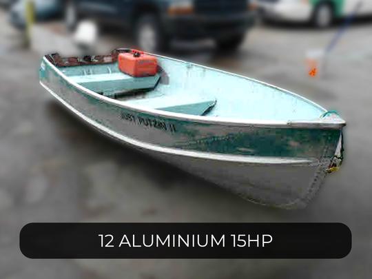 12 Aluminium 15HP ID# 1016